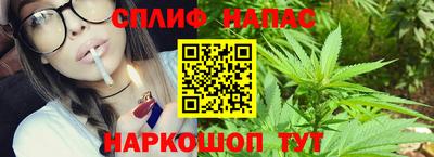 прущие грибы Малгобек