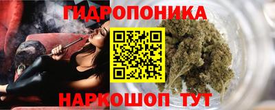 прущие грибы Малгобек